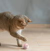 AI Self-Moving Ball toy for Cats